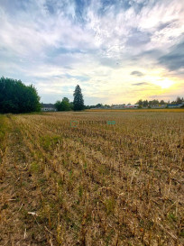 Działka Sprzedaż Ostrów Mazowiecka Torowa