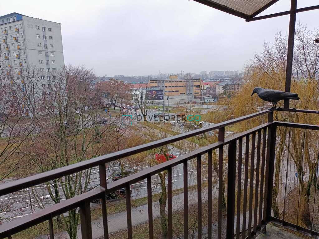 Mieszkanie Wynajem  Antoniuk Wierzbowa 11