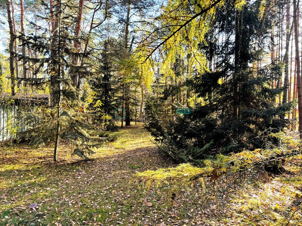 Działka Sprzedaż Kózki 5