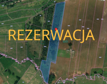 Działka Sprzedaż Łyski