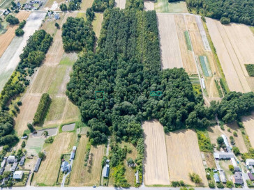 Działka Sprzedaż Kochanów