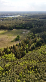 Działka Sprzedaż Gorczyca