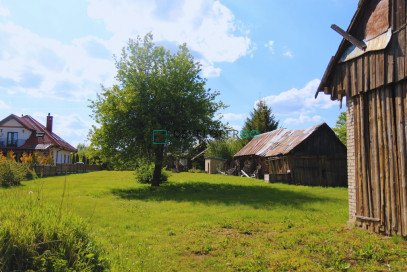 Dom Sprzedaż Białowieża Polna