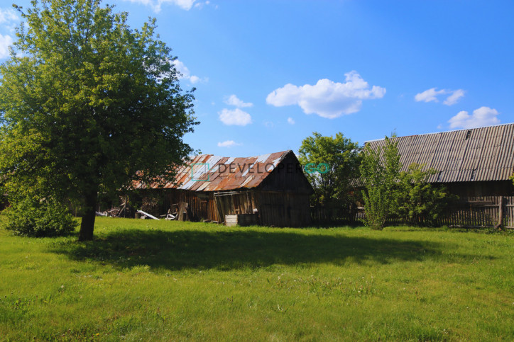 Dom Sprzedaż Białowieża Polna 7