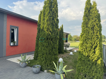 Dom Sprzedaż Sosna-Kozółki