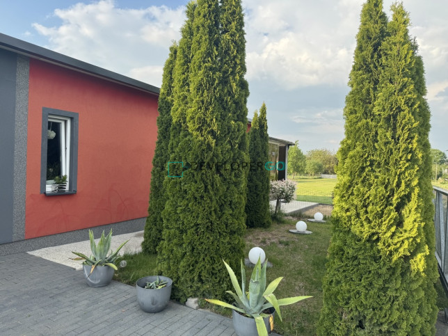 Dom Sprzedaż Sosna-Kozółki 16