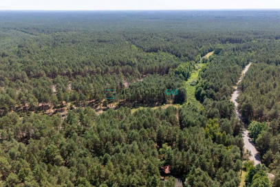 Działka Sprzedaż Chełsty