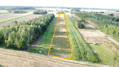 Działka Sprzedaż Dąbrówka-Wyłazy