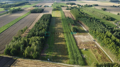 Działka Sprzedaż Dąbrówka-Wyłazy
