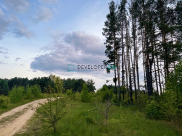 Działka Sprzedaż Nowodworce Stroma