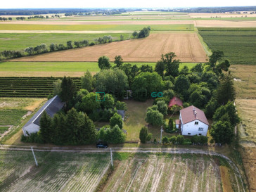 Dom Sprzedaż Wojnów