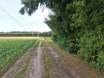 Dom Sprzedaż Wojnów