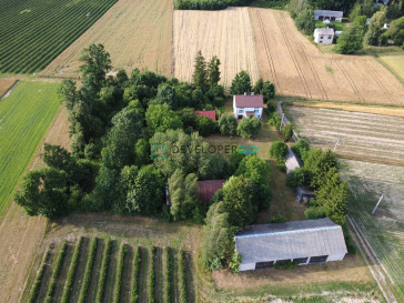 Dom Sprzedaż Wojnów