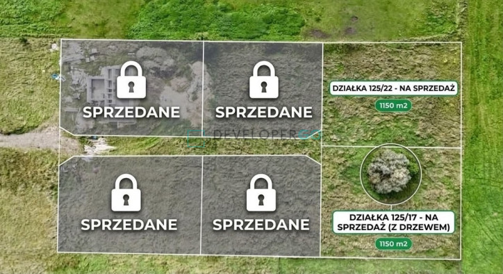 Działka Sprzedaż Ełk 1