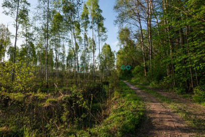 Dom Sprzedaż Gródek-Kolonia