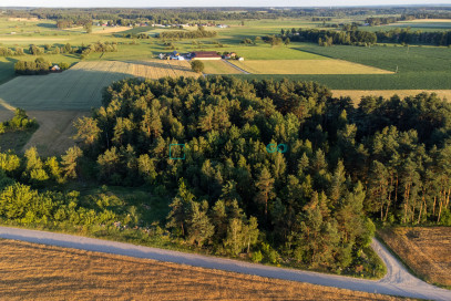 Działka Sprzedaż Podhorodnianka