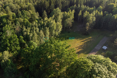 Działka Sprzedaż Downiewo